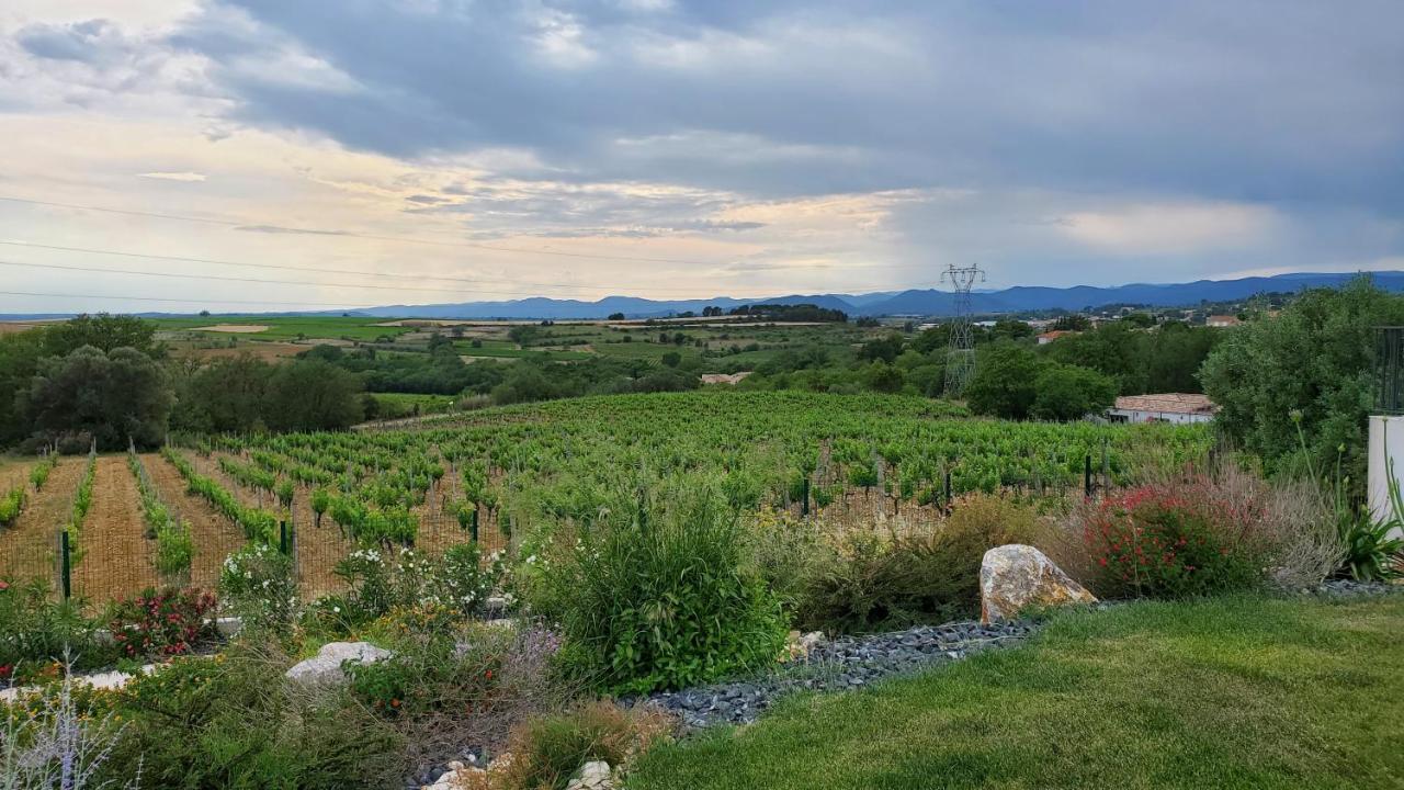 'Au Coeur Des Vignes' - Private Apartment & Garden Magalas Kültér fotó